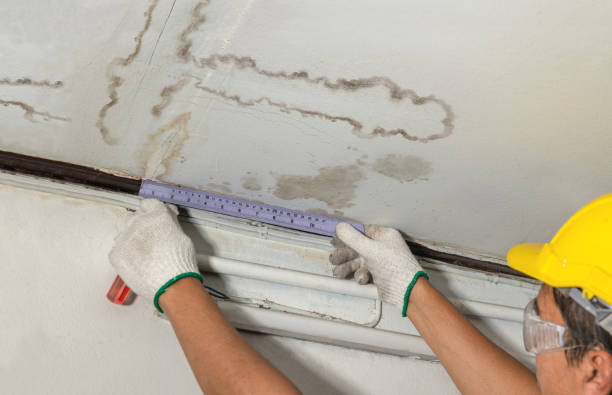 Reliable Water Damage contractor in Seguin, TX by Water Damage Irwin